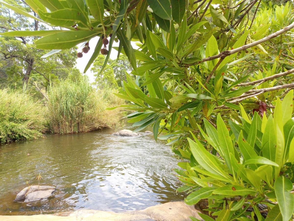 Holiday home Blyde River
